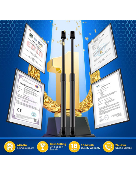 Amortiguadores de Ventana Trasera ARANA para Ford Escape 2008-2012