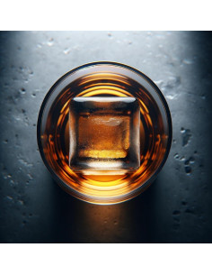 Molde de Hielo Glacio 2 Cubos Cristalinos para Whisky 2