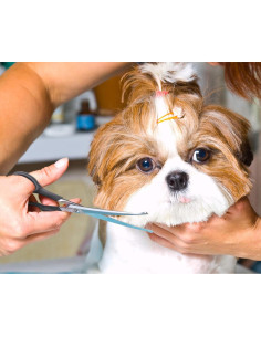 Set de Tijeras de Aseo para Mascotas Pets First - 2 Piezas 2