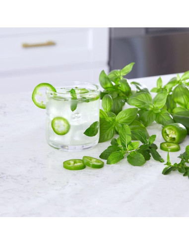 Kit de Jardín de Cócteles Back to the Roots - Jalapeño, Menta y Albahaca