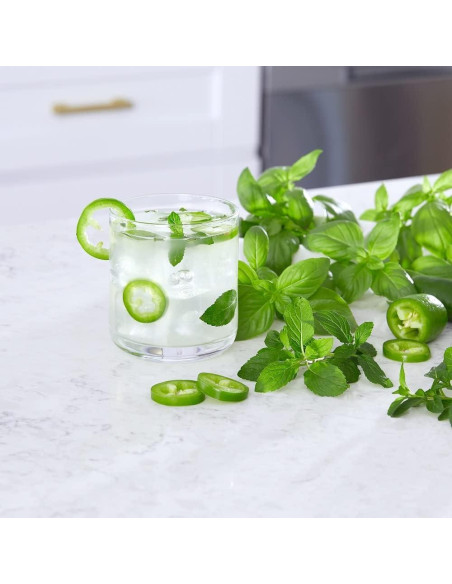 Kit de Jardín de Cócteles Back to the Roots - Jalapeño, Menta y Albahaca