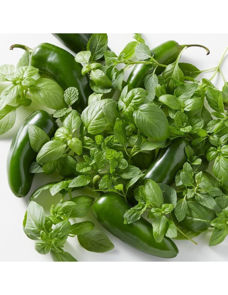 Kit de Jardín de Cócteles Back to the Roots - Jalapeño, Menta y Albahaca