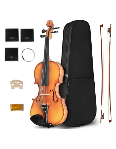 Violín CVN-500 para Principiantes 4/4 con Estuche y Arcos