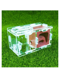 Nido de Hormigas Coinbuylot Rojo 9x5x5cm Ecológico