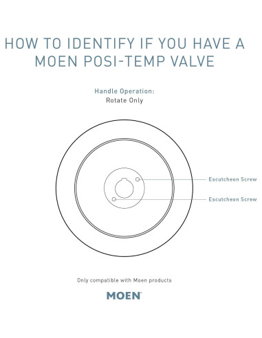 Kit Trim Ducha Moen T2903EPBL Negro Mate Eco-Desempeño