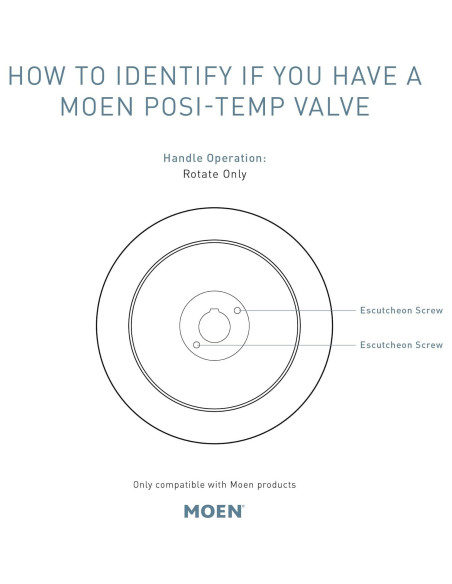 Kit Trim Ducha Moen T2903EPBL Negro Mate Eco-Desempeño