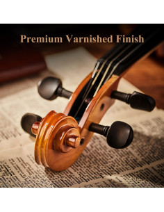 Violín Eastar 4/4 EVA-330 Madera Sólida con Accesorios 2