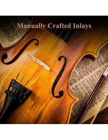 Violín Eastar 4/4 EVA-330 Madera Sólida con Accesorios