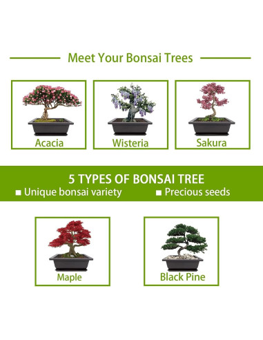 Kit de Jardinería Interior Meekear con Discos de Tierra y Bolsas