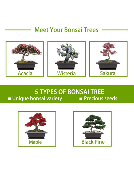 Kit de Jardinería Interior Meekear con Discos de Tierra y Bolsas