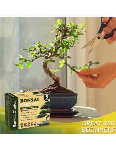 Kit de Jardinería Interior Meekear con Discos de Tierra y Bolsas