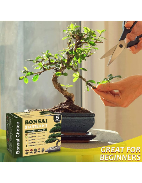 Kit de Jardinería Interior Meekear con Discos de Tierra y Bolsas