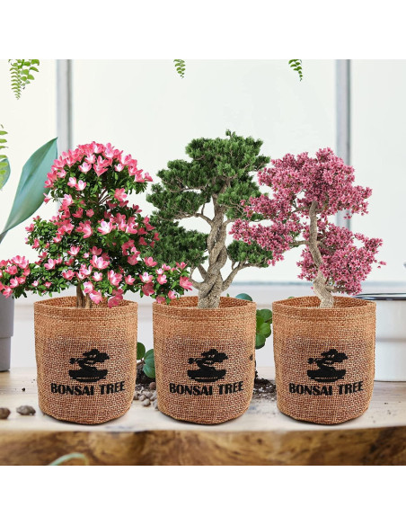 Kit de Jardinería Interior Meekear con Discos de Tierra y Bolsas
