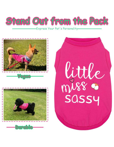 Chaleco Sin Mangas Paiaite para Perros Pequeños y Medianos