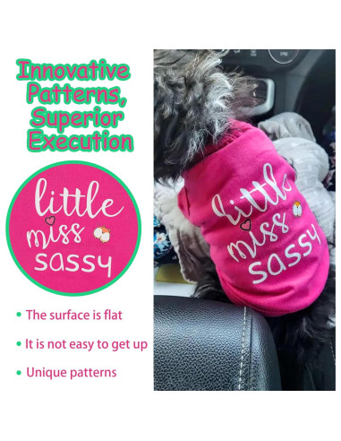 Chaleco Sin Mangas Paiaite para Perros Pequeños y Medianos