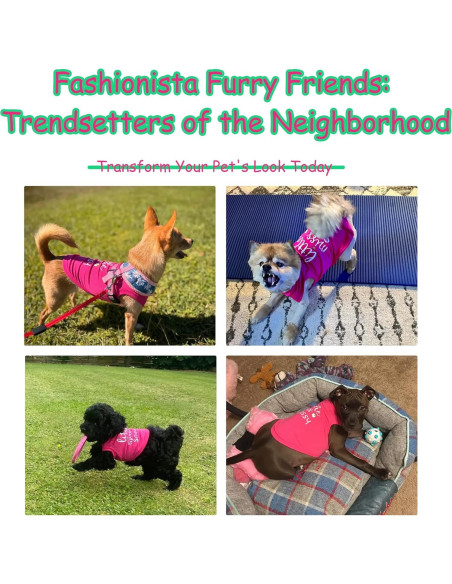 Chaleco Sin Mangas Paiaite para Perros Pequeños y Medianos