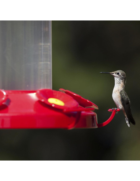 Alimentador de Colibríes Perky-Pet 220 - 1.42 Litros