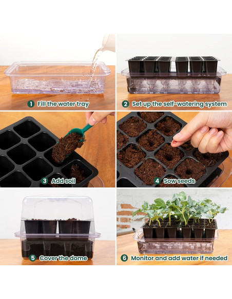 Kit de Inicio de Semillas Autorriego SOLIGT 6 Paquetes 144 Celdas