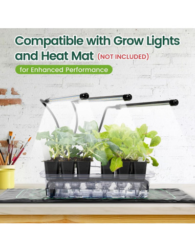 Kit de Inicio de Semillas Autorriego SOLIGT 6 Paquetes 144 Celdas