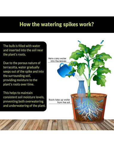 Set de 4 Ollas de Riego Automático SmartiLiving 354ml