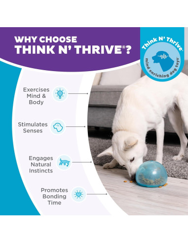 Juguete Interactivo Snoop Outward Hound Grande Azul