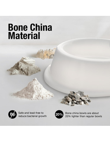 Cuencos Doble de Porcelana UTEE para Gatos y Perros Pequeños