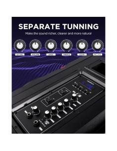 Máquina de Karaoke HEARTSEA HS-8P Bluetooth con 2 Micrófonos 2