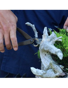 Cortador de Ramas Wazakura 200mm Acero Forjado Japonés 2