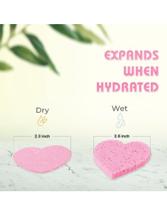 Esponjas Faciales Comprimidas GreenBoll 60 Unidades Naturales 2