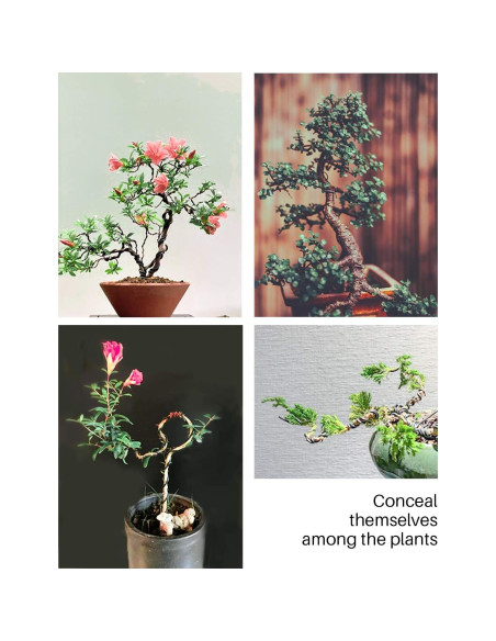 Kit de Alambre y Herramientas de Bonsai MoHern 164 Pies