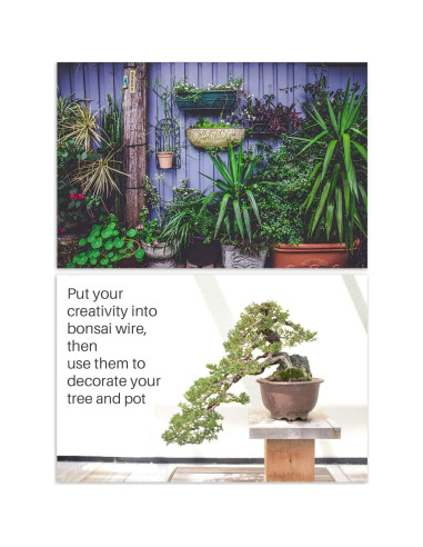 Kit de Alambre y Herramientas de Bonsai MoHern 164 Pies