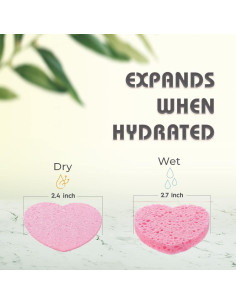 Esponjas Faciales Comprimidas Miaform - 100 Unidades Naturales 2