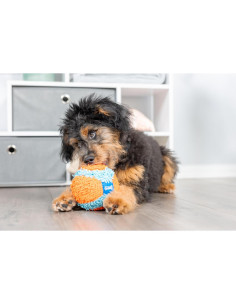 Chuckit! Pelota de Fetch Interior 12 cm Naranja y Azul 2