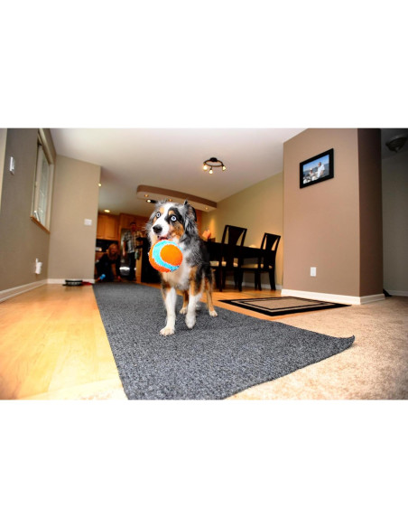 Chuckit! Pelota de Fetch Interior 12 cm Naranja y Azul