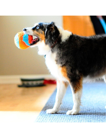 Chuckit! Pelota de Fetch Interior 12 cm Naranja y Azul