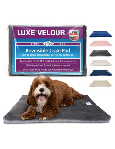 Almohadilla para Perros Pet Dreams 45.72x30.48cm Gris