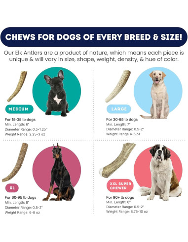 Cuerno de Alce Natural Onward Hound Mediano 15-35 lb