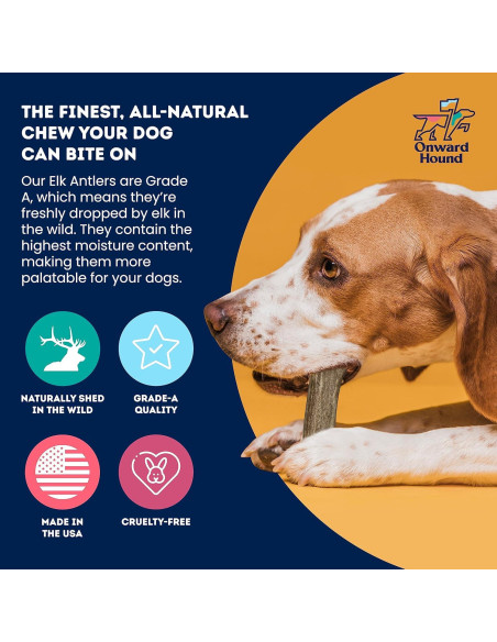 Cuerno de Alce Natural Onward Hound Mediano 15-35 lb