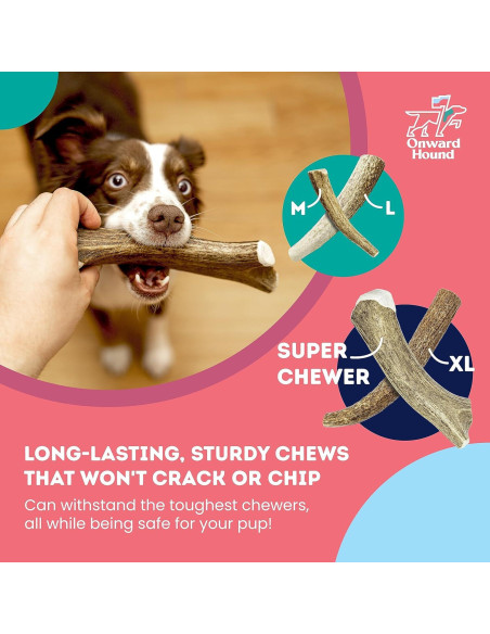 Cuerno de Alce Natural Onward Hound Mediano 15-35 lb