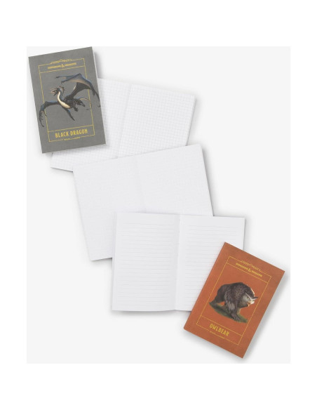 Mimic Treasure Chest Notebook Set (Dungeons & Dragons)