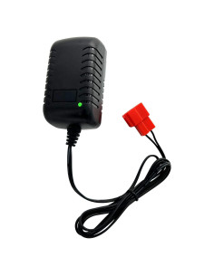 Cargador 12V FACJOYMOOU para coches de juguete infantil