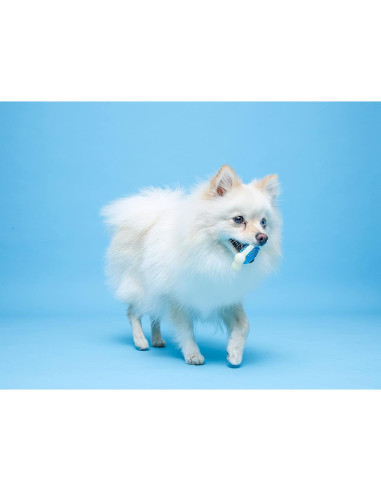 Hartz Tuff Bone Extra Pequeño Aroma a Tocino 2,54x9,91x18,29cm