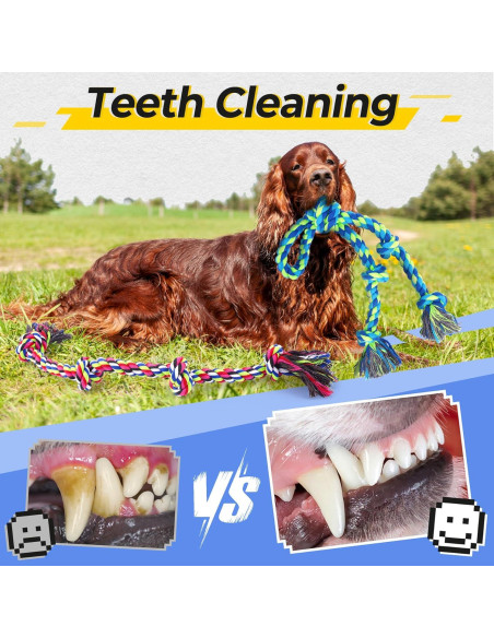 Juguetes de Cuerda para Perros Eefitoys 5 en 1 Resistentes