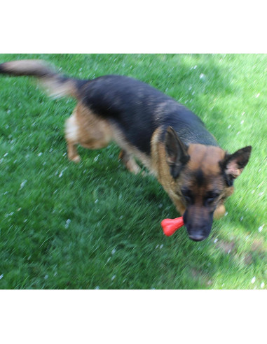 Juguete de Masticar Jalousie para Perros - 11 Piezas Multicolor