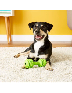 Juguete para Perros JW Pet Chompion Mediano Goma Natural 2