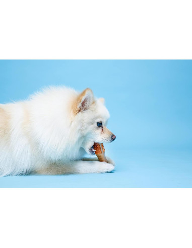 Juguete de Masticar Hartz Muslo Pollo Pequeño 10-20 lbs