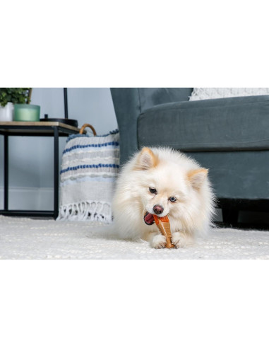 Juguete de Masticar Hartz Muslo Pollo Pequeño 10-20 lbs