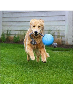 Juguete para Perro Jolly Pets Romp-n-Roll 15,24 cm Arándano 2