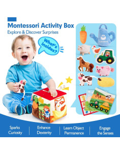 Juguetes para Bebés Hahaland 6-12 Meses 13 PCS Sensoriales 2