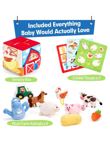 Juguetes para Bebés Hahaland 6-12 Meses 13 PCS Sensoriales